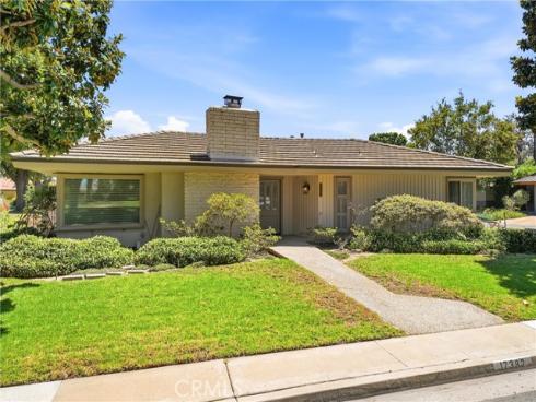 17382 Jacaranda