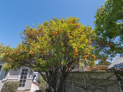 6072 Chinook Ave. , Westminster, CA