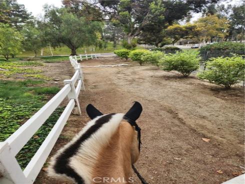 5821  Blueberry   Street, Yorba Linda, CA