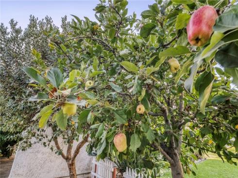 4321  Aspenglow   Circle, Yorba Linda, CA